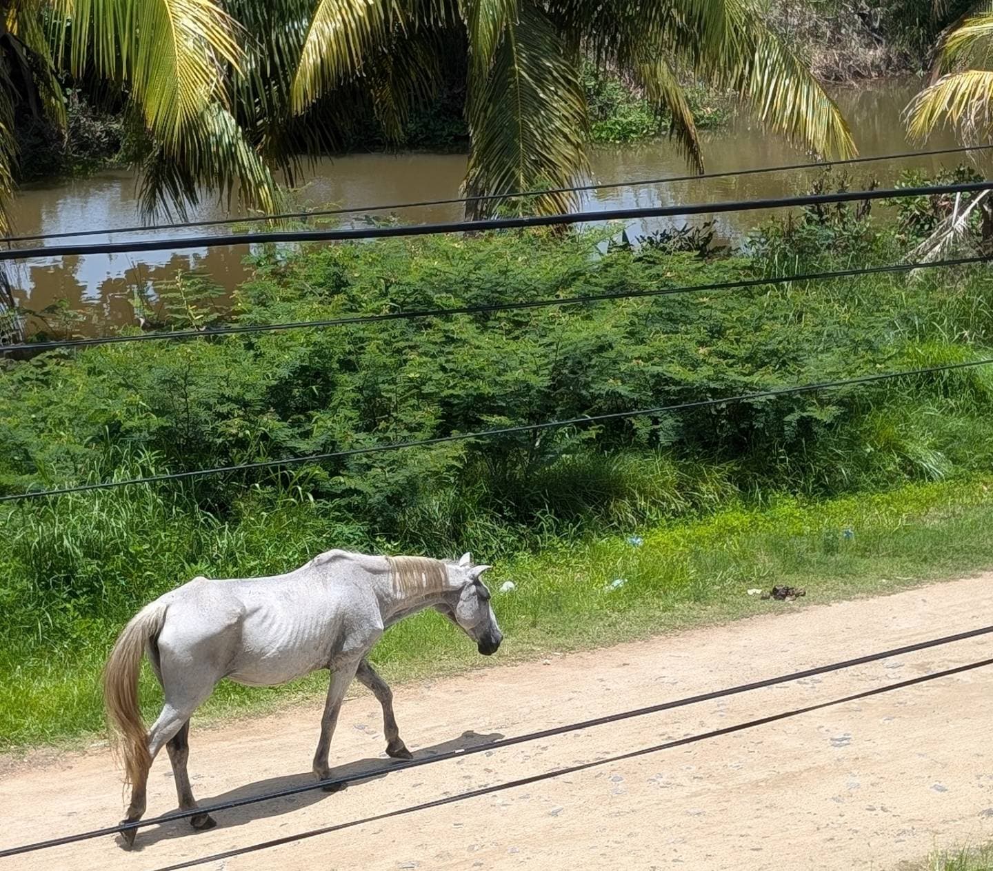 Dangriga, Belize